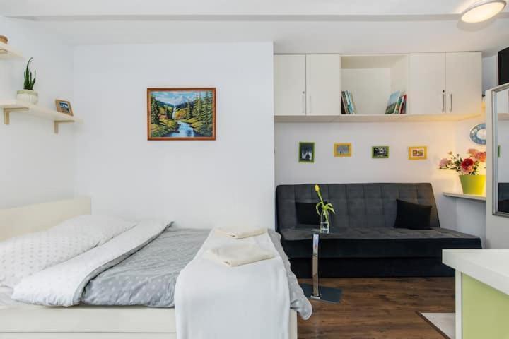 Cosy Studio Apartment Krakau Buitenkant foto