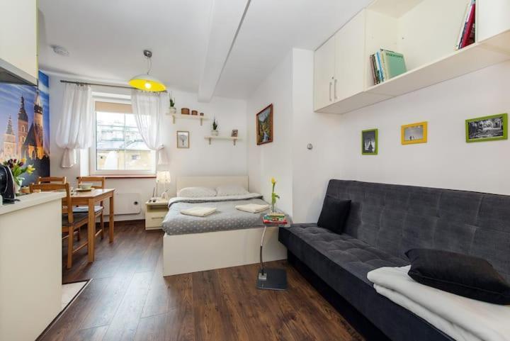 Cosy Studio Apartment Krakau Buitenkant foto